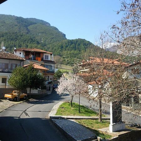 Apartment With View At Olympus Mountain Litóchoron Esterno foto